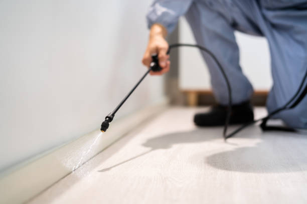 Licensed Cockroach Control service in Du Quoin, IL - Nex Pest Control