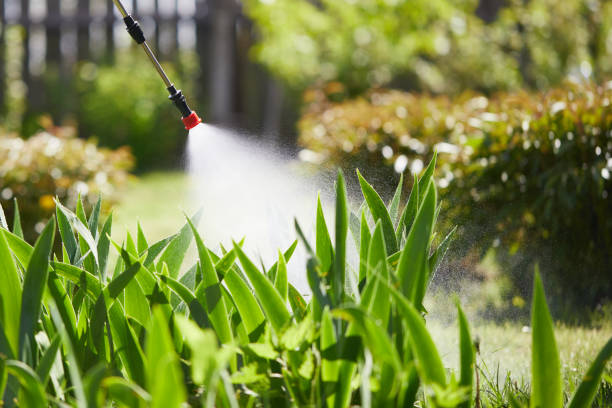 24/7 Emergency Cockroach Control experts in Du Quoin, IL
