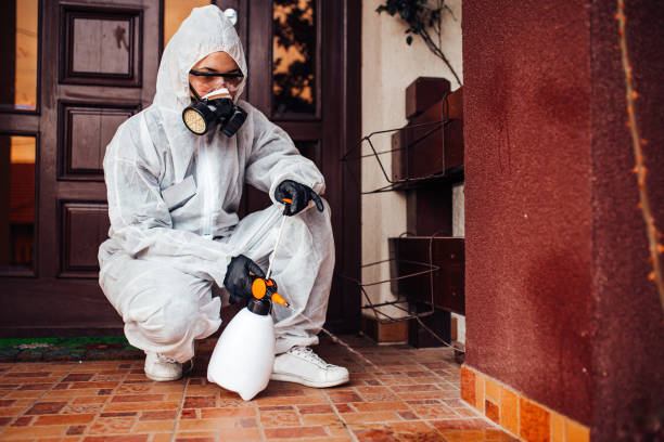 Reliable Cockroach Control contractor in Du Quoin, IL by Nex Pest Control