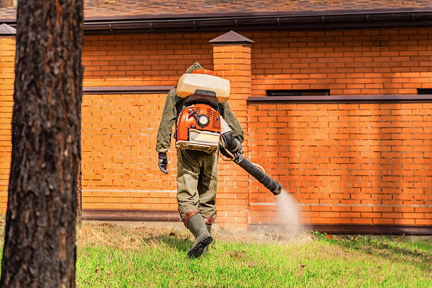 Top rated local Cockroach Control specialists in Du Quoin, IL